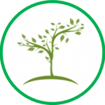Become a member